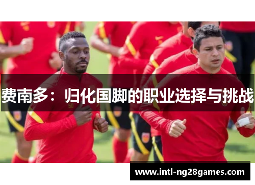 费南多：归化国脚的职业选择与挑战