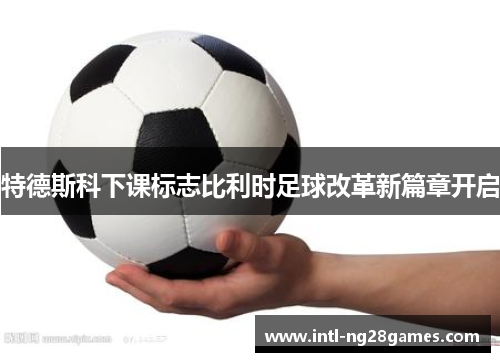 特德斯科下课标志比利时足球改革新篇章开启