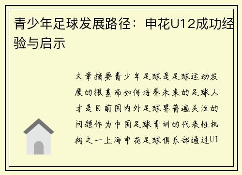 青少年足球发展路径：申花U12成功经验与启示