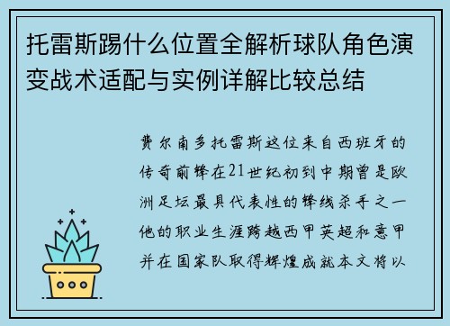 托雷斯踢什么位置全解析球队角色演变战术适配与实例详解比较总结