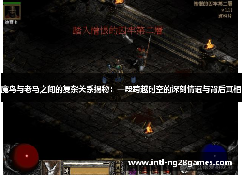 魔鸟与老马之间的复杂关系揭秘：一段跨越时空的深刻情谊与背后真相